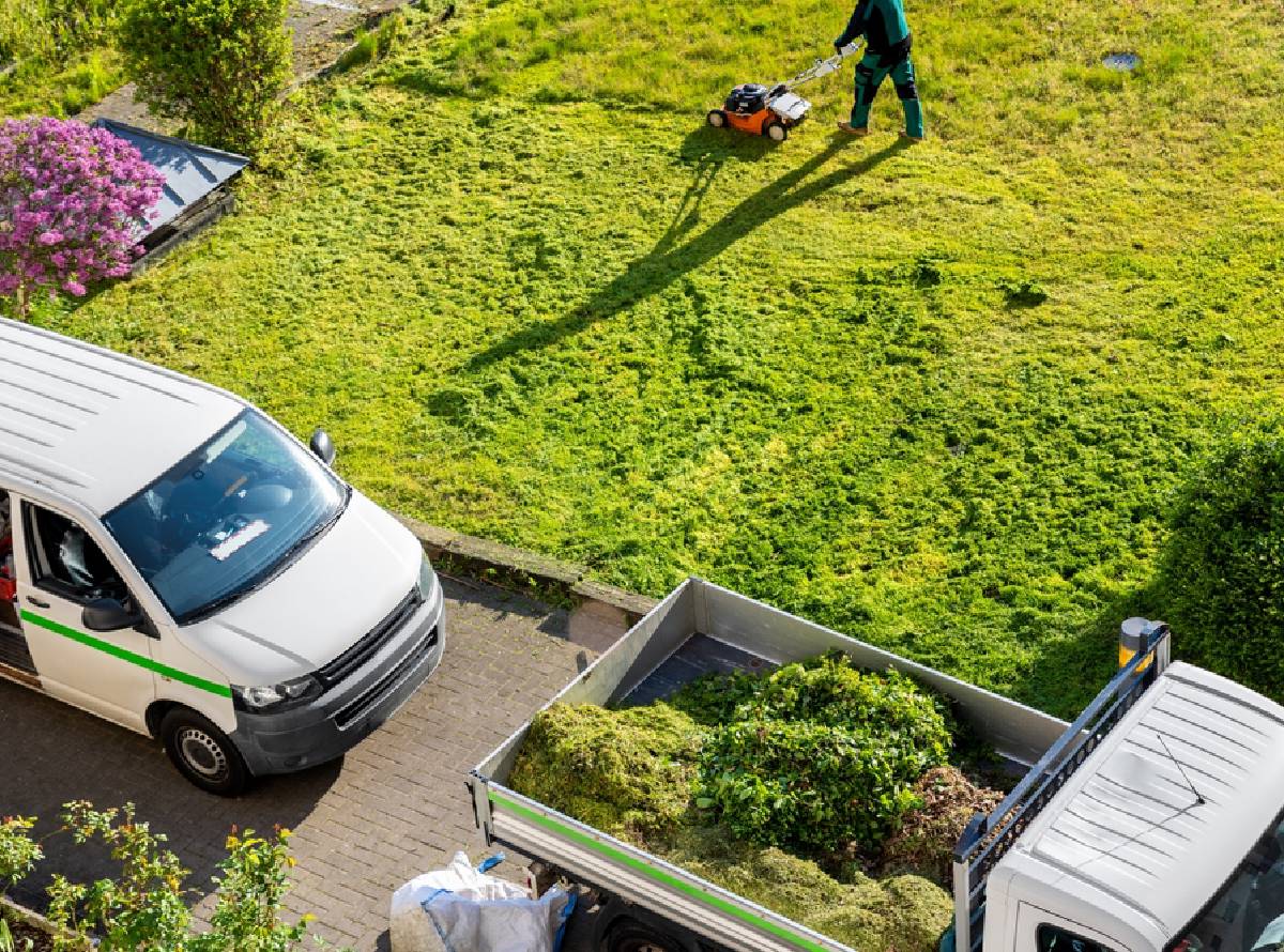 Tree surgeons in Bliston and West Midlands Tree surgeons in Bliston and West Midlands